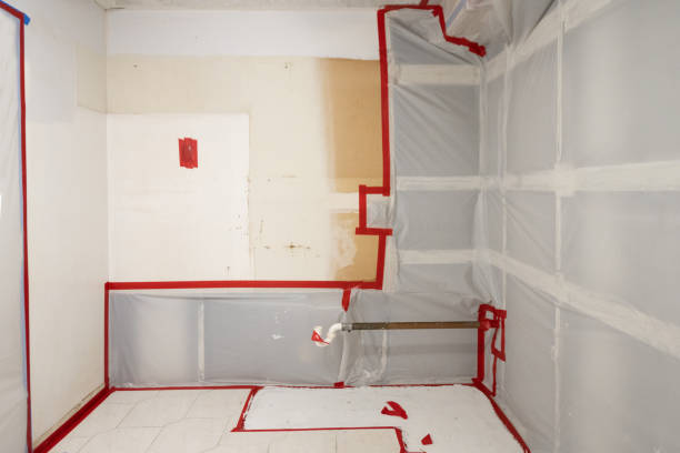 Best Mold Prevention Services  in Palmetto Estates, FL