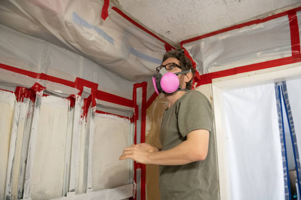 Best Dehumidification Services  in Palmetto Estates, FL