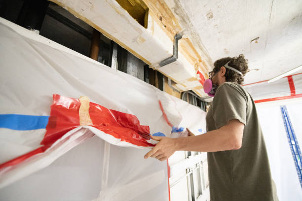 Best Water Damage & Mold Remediation  in Palmetto Estates, FL