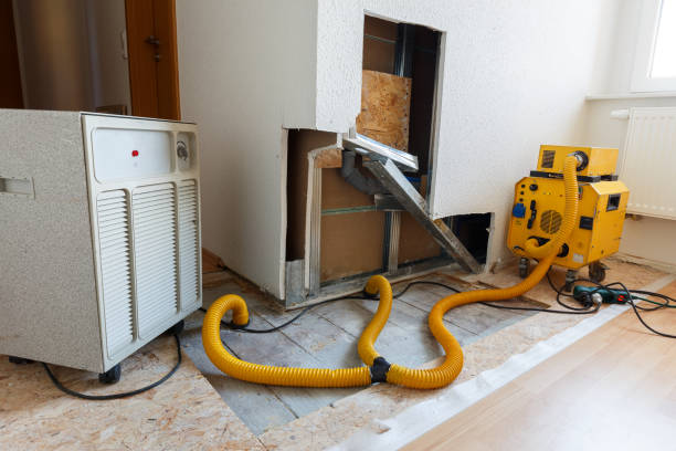 Best Mold-Related Health Consultation  in Palmetto Estates, FL