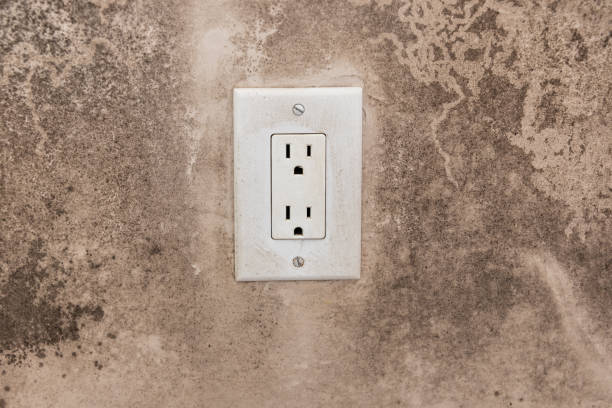 Best Asbestos and Lead Testing During Mold Inspection  in Palmetto Estates, FL